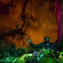 Piosenka o miłości - galeria zdjęć