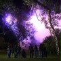 Piosenka o miłości - galeria zdjęć
