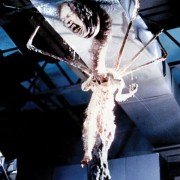 The Thing - galeria zdjęć - filmweb