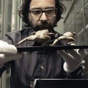 Das große Museum - galeria zdjęć - filmweb