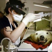 Das große Museum - galeria zdjęć - filmweb