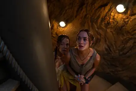 Szympans - galeria zdjęć - filmweb