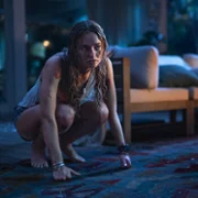 Szympans - galeria zdjęć - filmweb