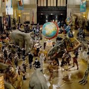 Night at the Museum - galeria zdjęć - filmweb