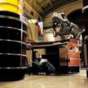 Night at the Museum - galeria zdjęć - filmweb