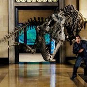 Night at the Museum - galeria zdjęć - filmweb