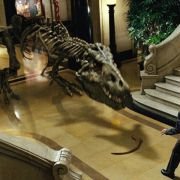 Night at the Museum - galeria zdjęć - filmweb