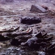 ...E tu vivrai nel terrore! L'aldilà - galeria zdjęć - filmweb