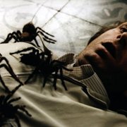 ...E tu vivrai nel terrore! L'aldilà - galeria zdjęć - filmweb