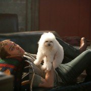 Seven Psychopaths - galeria zdjęć - filmweb