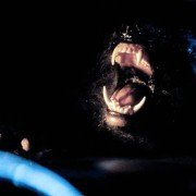 The Howling - galeria zdjęć - filmweb