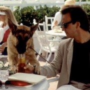 K-9 - galeria zdjęć - filmweb