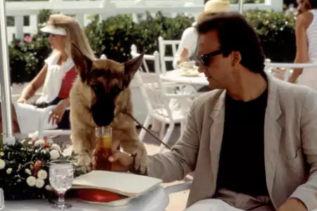 K-9 - galeria zdjęć - filmweb