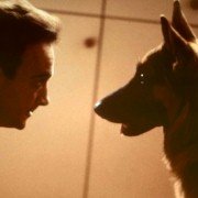 K-9 - galeria zdjęć - filmweb