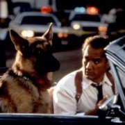 K-9 - galeria zdjęć - filmweb