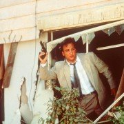 K-9 - galeria zdjęć - filmweb