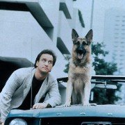 K-9 - galeria zdjęć - filmweb
