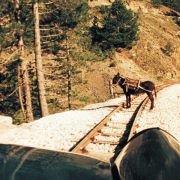 Życie jest cudem - galeria zdjęć - filmweb