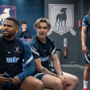 Ted Lasso - galeria zdjęć - filmweb