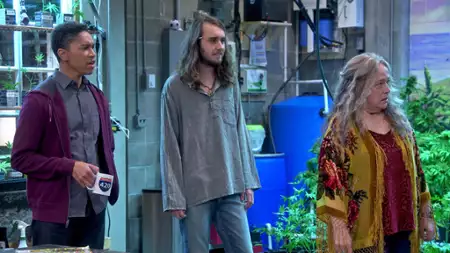 Rodzina w oparach - galeria zdjęć - filmweb