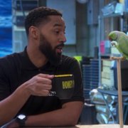 Disjointed - galeria zdjęć - filmweb
