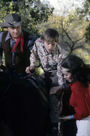 Wonder Woman - galeria zdjęć - filmweb