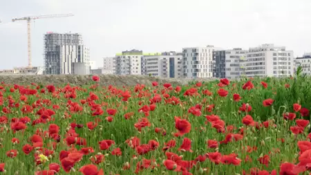 Najlepsze miasto to wcale nie miasto - galeria zdjęć - filmweb