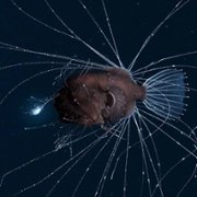 Nasza planeta - galeria zdjęć - filmweb