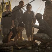 Nowa Ziemia - galeria zdjęć - filmweb