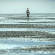 Tides - galeria zdjęć - filmweb