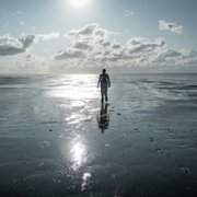 Tides - galeria zdjęć - filmweb