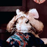The Witches - galeria zdjęć - filmweb