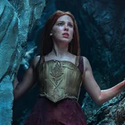 Dama - galeria zdjęć - filmweb