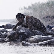 Xin Hai Ge Ming - galeria zdjęć - filmweb