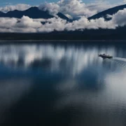 In Cold Water: The Shelter Bay Mystery - galeria zdjęć - filmweb