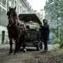 The Walking Dead: Daryl Dixon - galeria zdjęć