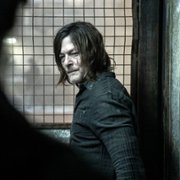 The Walking Dead: Daryl Dixon - galeria zdjęć - filmweb