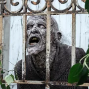 The Walking Dead: Daryl Dixon - galeria zdjęć - filmweb