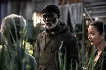 The Walking Dead: Daryl Dixon - galeria zdjęć - filmweb