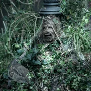 The Walking Dead: Daryl Dixon - galeria zdjęć - filmweb