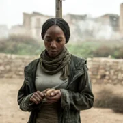 The Walking Dead: Daryl Dixon - galeria zdjęć - filmweb