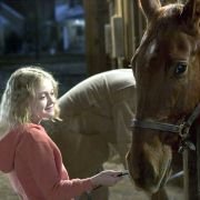 Dreamer: Inspired by a True Story - galeria zdjęć - filmweb