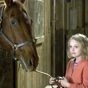 Dreamer: Inspired by a True Story - galeria zdjęć - filmweb