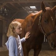 Dreamer: Inspired by a True Story - galeria zdjęć - filmweb