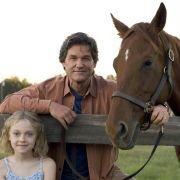 Dreamer: Inspired by a True Story - galeria zdjęć - filmweb