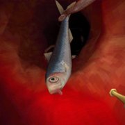 Revenge of the Colon - galeria zdjęć - filmweb