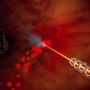 Revenge of the Colon - galeria zdjęć - filmweb