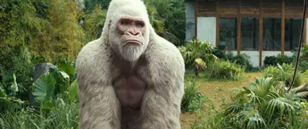 Rampage: Dzika furia - galeria zdjęć - filmweb