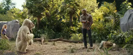 Rampage: Dzika furia - galeria zdjęć - filmweb