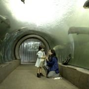 Wyspa zaginionych - galeria zdjęć - filmweb